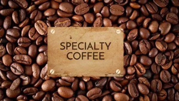Cupping Test Kopi Arabika Natural Kontes Kopi Spesialti Indonesia 2021